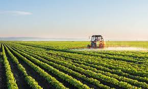 Agriculture Software and IT Infrastructure in Polokwane